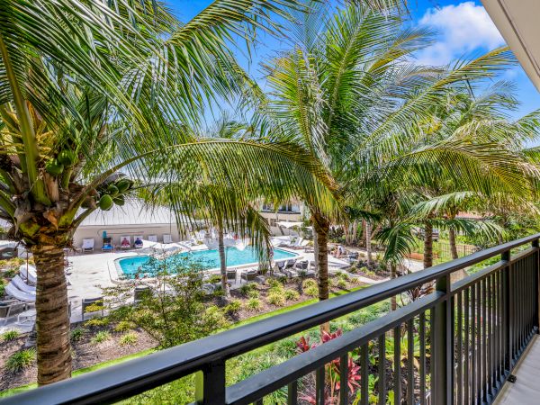A balcony view overlooking a pool area surrounded by palm trees and greenery under a clear blue sky, with lounge chairs arranged around the pool.