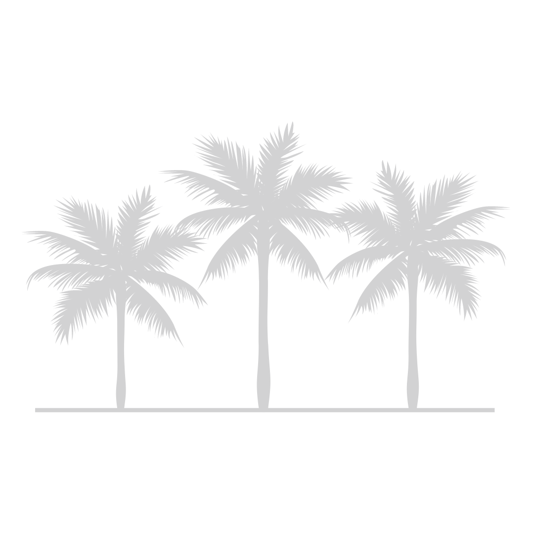 The image shows a silhouette of three palm trees arranged in a row, with the middle tree being slightly taller than the others.