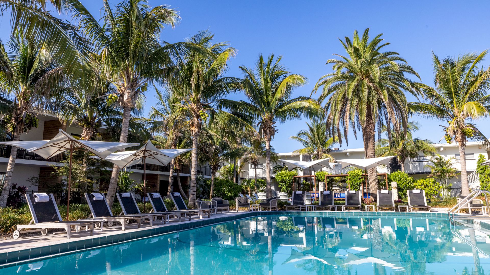 A luxurious outdoor pool surrounded by lounge chairs, umbrellas, and palm trees under a clear blue sky, creating a serene and inviting atmosphere.