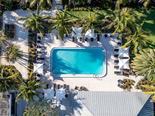 Aerial view of a rectangular pool surrounded by lounge chairs and palm trees, with bright blue water and sunny pool deck.