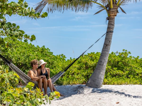 A couple relaxes on a hammock between palm trees on a sunny beach, surrounded by lush greenery and clear blue skies.