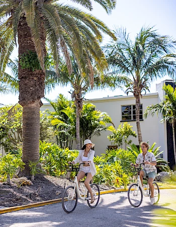 Two people ride bicycles on a sunny street lined with tall palm trees and tropical plants, near a white building.